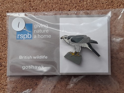 Rspb goshawk series gnah - goshawk,
