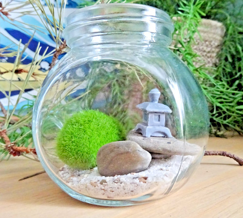 Mini zen garden - zen, kit,