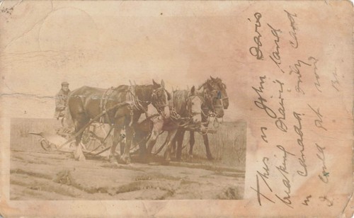 Postcard farmer - rp,