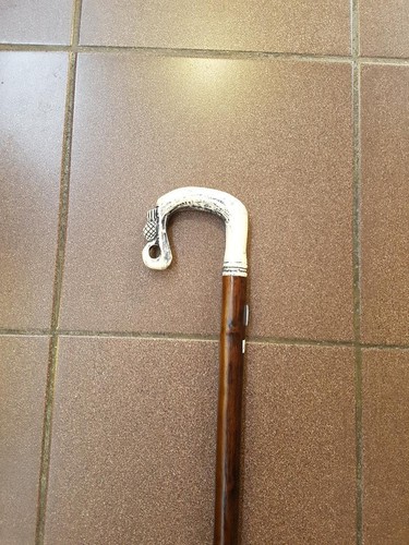 Walking stick shepherds - walking,