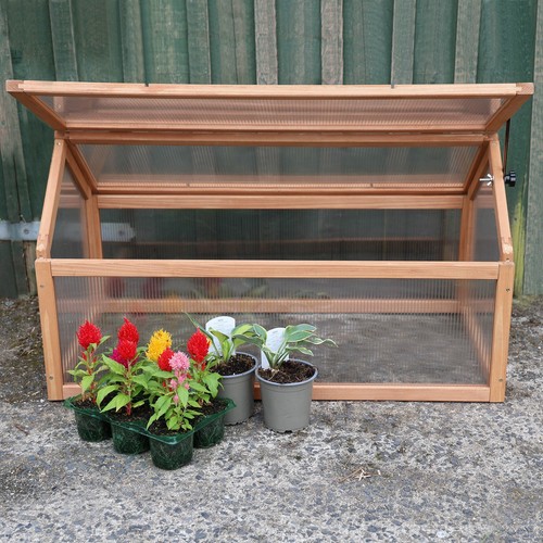 Wooden cold frame - cold,