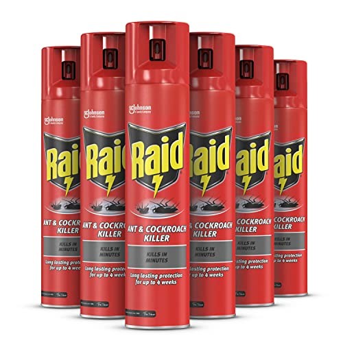 Raid ant cockroach - raid,
