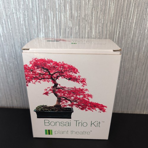 Plant theatre bonsai kit - theatre,