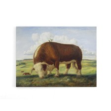 John S Curry Ajax Hereford