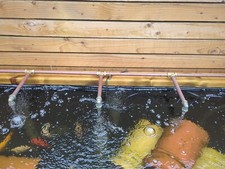 Large Garden Pond Water