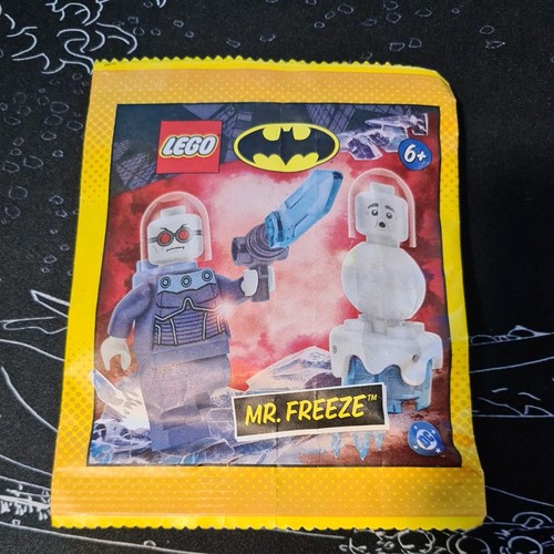 Lego freeze with - mr.,