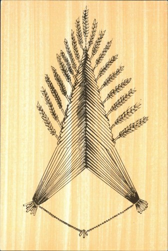 Shire postcards corn - shire,