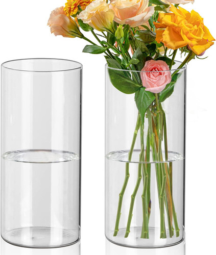 2pcs cylinder vases - cylinder, tall