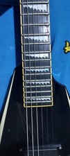 Pro Electric Guitar
