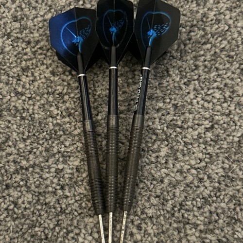 Raymond van barneveld - raymond, unicorn