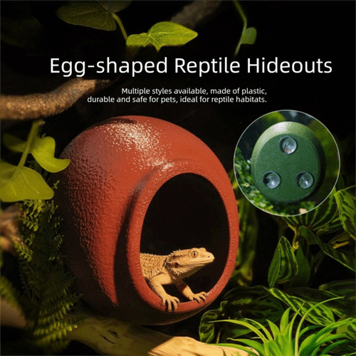 Reptile hiding cave with - reptile,