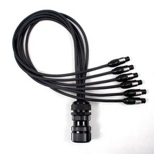 Socapex Spider - Male Socapex