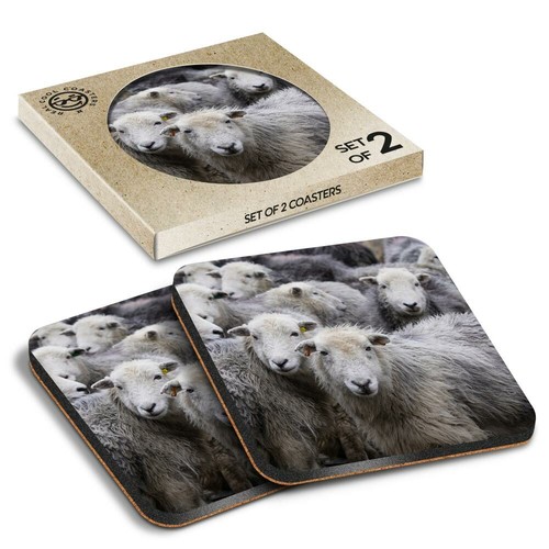 Boxed square coasters - boxed,