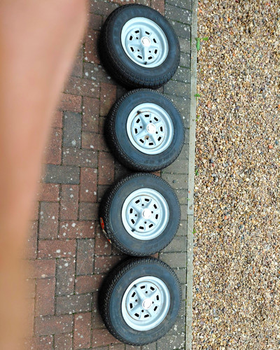 Classic mini rostyle - mini, 10"