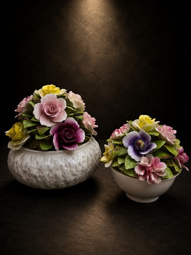Pair coalport bone china - pair,