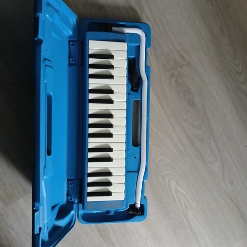 Hohner melodica blue vintage - melodica,