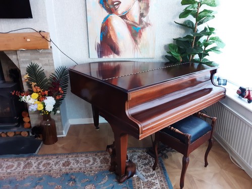 Baby grand piano - grand,