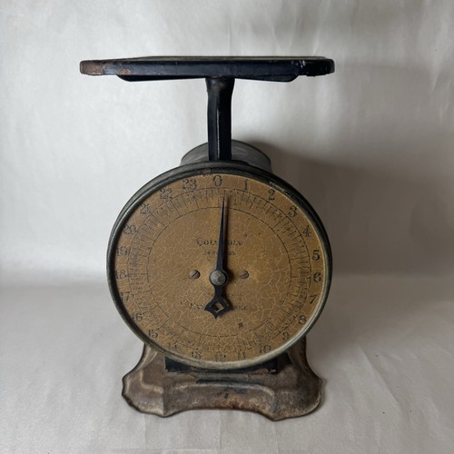 Antique columbia family - columbia, scale
