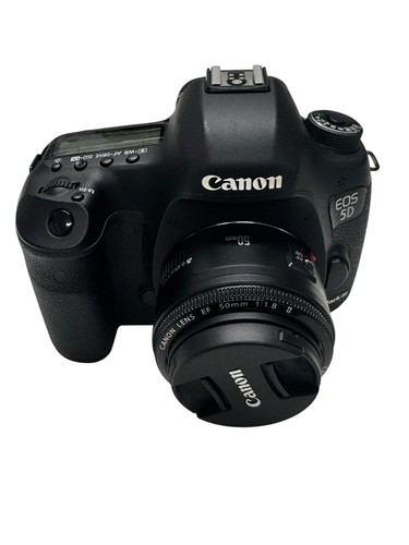 Mint canon mark - canon,