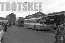 35mm Black and White Negative