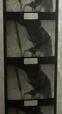 9.5mm Baby Film - 'Esquimaux
