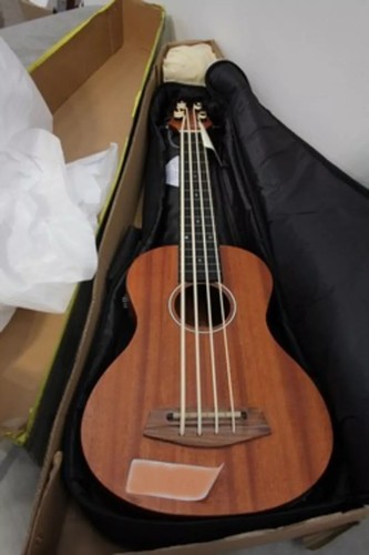 Ashbury fretless bass - fretless, u-bass