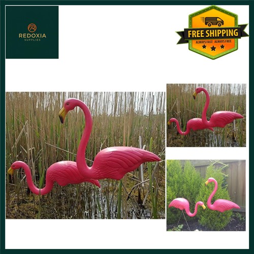 Pair pink lawn pond - lawn,