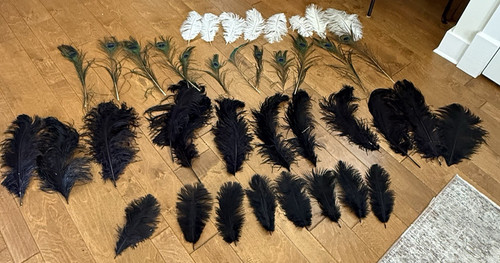 Feather lot black white - 40,