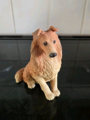 Castagna rough collie dog - rough,