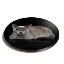 Round MDF Coaster Burmese Cat