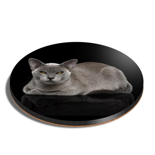Round mdf coaster - mdf, burmese