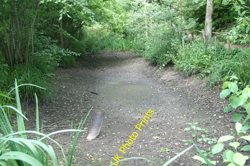 Photo pashley manor - pashley,