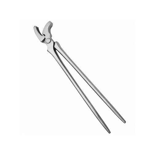 Professional farrier hoof - 12",