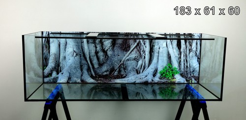 Long aquarium 620l fish - 6, ft