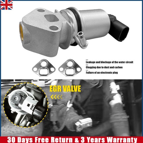 Egr valve exhaust - egr, gas