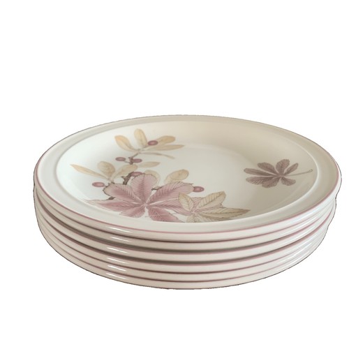 Wedgwood chestnut - 6,