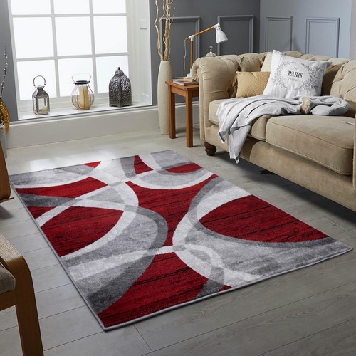 Modern large rugs - modern,