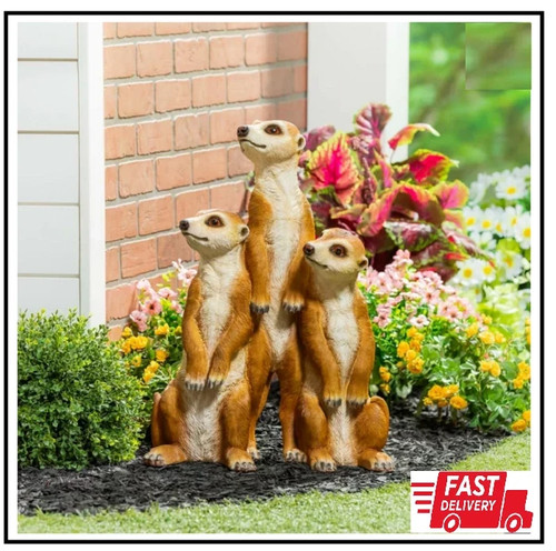 Garden meerkat statue - garden, –