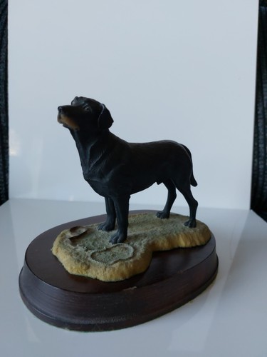 Aynsley black labrador - labrador, by