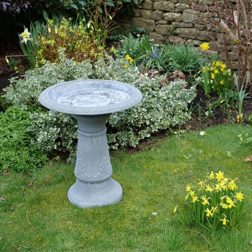 Cameo bird bath - bird, tall