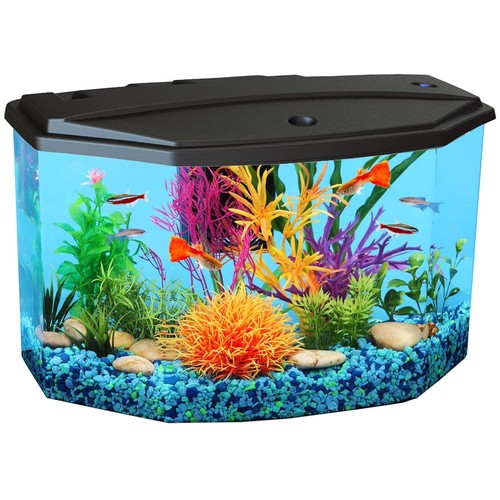 Stylish gallon tropical fish - tropical,