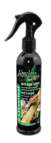 Cloverleaf absolute reptile - cloverleaf,