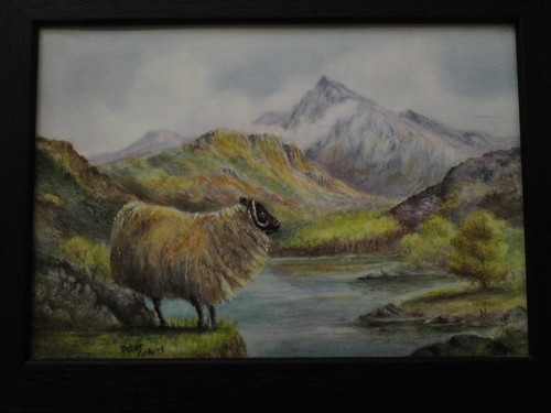 Herdwick sheep landscape - sheep,