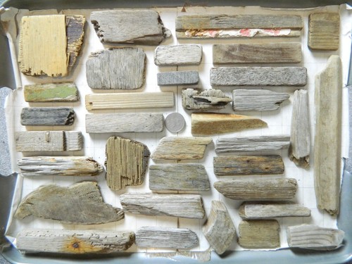 Driftwood pieces flat - pieces, one