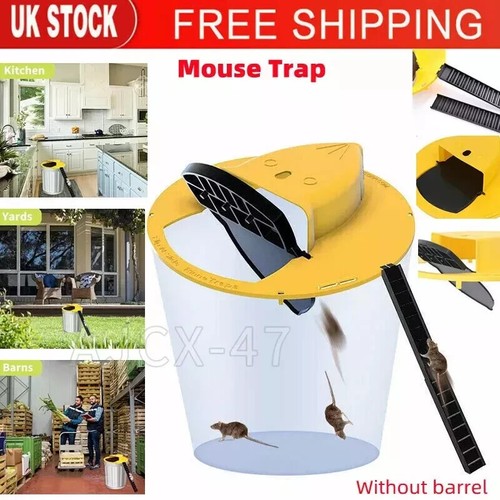 Mouse trap flip slide bucket - trap,