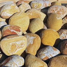 Rainbow Decorative Landscaping & Garden Boulders 150-300mm