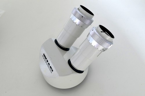 Wild leica stereo microscope - leica, m
