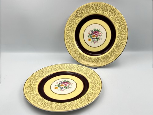 Johnson bros pareek dinner - 2x,