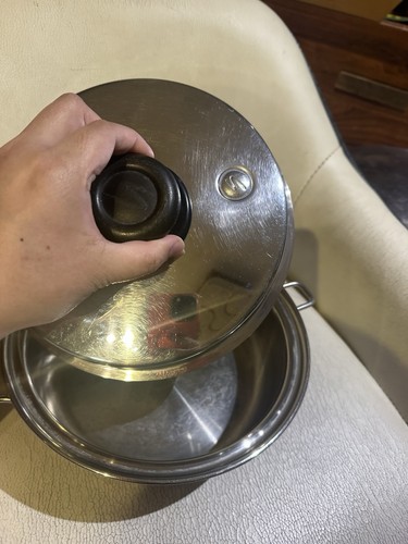 Saladmaster inches pot - 9,