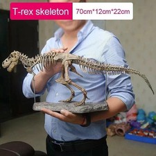Large Diy Dinosaur Skeleton